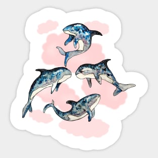 Killerwhales in pink sky Sticker